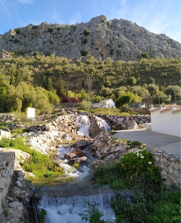 Casa De Los Alamos Periana Екстер'єр фото
